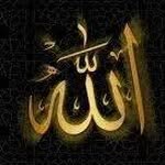 Mohammed Ware - @mohammed.ware.148 - Instagram