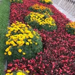 Mohammed Wares - @mohammed.wares - Instagram