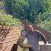 Mohan Samuel - Facebook