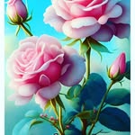 mohd afshar - @mohdafshar76 - Instagram