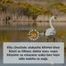 Moh'd Othman - Facebook