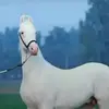 mohd shahid - @mohdshahid7216 - TikTok