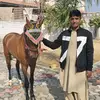 Mohsan Khan - @mohsan.khan49 - TikTok