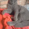 Mohsin Rasool - @mohsin.rasool48 - TikTok