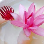 Moi Tran - @moi.tran.545402 - Instagram