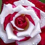 Moinuddin Ahmed - @moinuddinahmed969 - Instagram