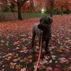 Moira - @moira.berg - TikTok