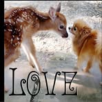 Moira Donovan - Facebook