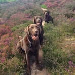 Moira Hilton - Facebook