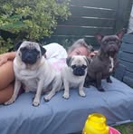 Moira Hilton - Facebook