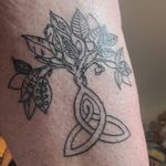 Moira O'Reilly McCarthy - @irishpooh14 - Instagram