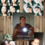 Moises Abarca - @abarca.moises - Instagram