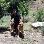 Moises Abarca - @moises.ab62 - Instagram