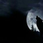 _moises_abrego_ - @_moises_abrego_ - Instagram