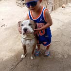 Moises Aranda - Facebook