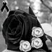 Moises Barela - Facebook