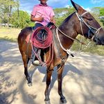 Moises Barrientos Contreras - @priv_m12st - Instagram