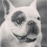 Moises Bautista - @yom_bautista - Instagram