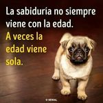 Hector Mazariegos - @moises__cabrera - Instagram