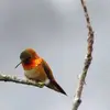 Moises Cabrera - @moises.cabrera924 - TikTok