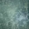 Moises casillas - @moisescasillas5 - TikTok