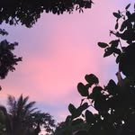 Moisés Clemente - @moises_cleme_ - Instagram