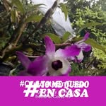 Moises Clemente Flores - @moisesclementeflores - Instagram