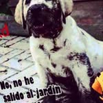 møïsës<3:> - @moises_cristobal - Instagram