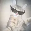 Unknown777 - @moises.cristobal0 - TikTok