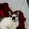 Moises Espejo - @moises.espejo6 - TikTok