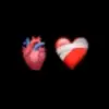 Moises leon - @.moisesleon.suarez - TikTok