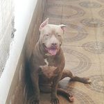Moises Murillo - @moisesmurillo424 - Instagram