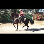 Moisés Pacheco - @moises282000 - Instagram