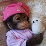 Moisés Peralta - @2.0moises753321 - Instagram