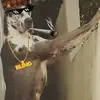 Moises Peralta - @moisesperalta7 - TikTok