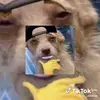 moisesregalado375 - @moisesregalado8 - TikTok