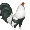 Moises Salgado - @moises.salgado89 - TikTok