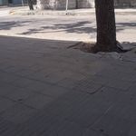 Moises Sosa - @moises.sosa.1441810 - Instagram
