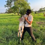Moy Tapia Uscanga - @moises_tapia_usc - Instagram