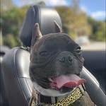 Moises Terranova - @pluslimo_terranova - Instagram