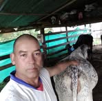 Moises Terranova Moises - Facebook