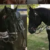 Moises Xavier - @moises.xavier5 - TikTok