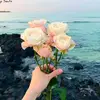 princess zani👸 - @moiztariq878 - TikTok