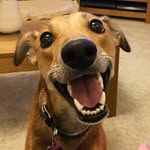 Molly Willow Elder - @mollywillowelder - Instagram