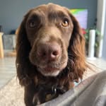 Mollie Freeman - @molliexx00 - Instagram