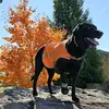Mollie and the Retired Guy - @mollie.and.retired.guy - TikTok