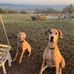 Molly Key - Facebook