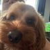 Mollie Maxwell - Facebook