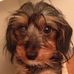 Mollie Simpson - Facebook