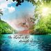 Mollie Simpson - Facebook